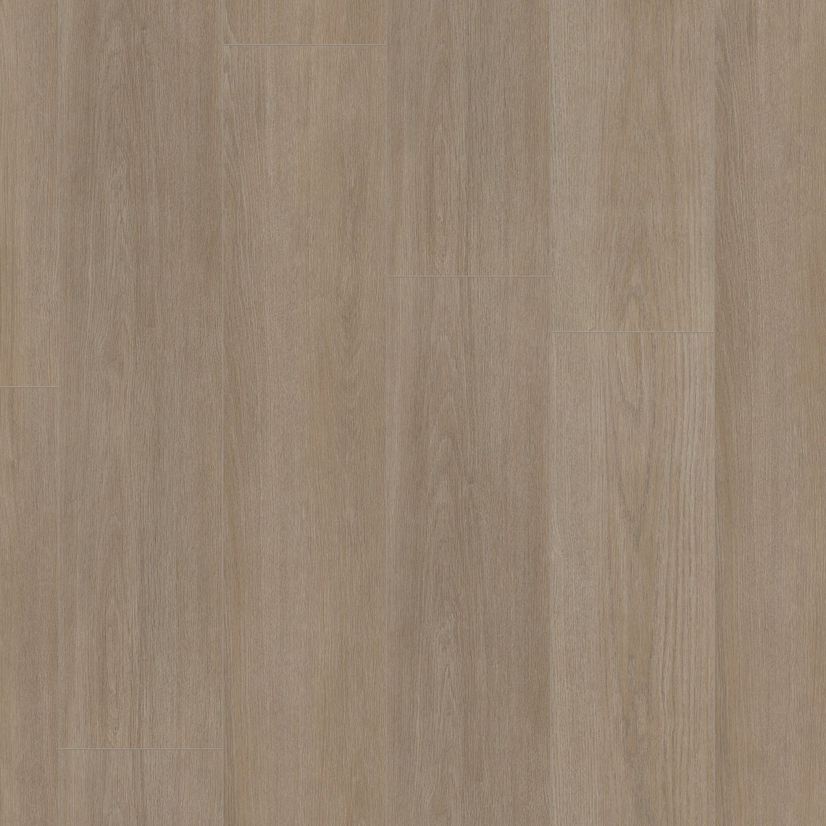 Cavalley smoky eiken
