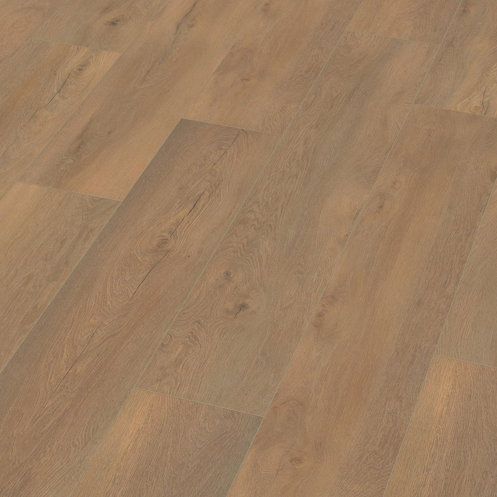 Saarland natuur eiken 3D