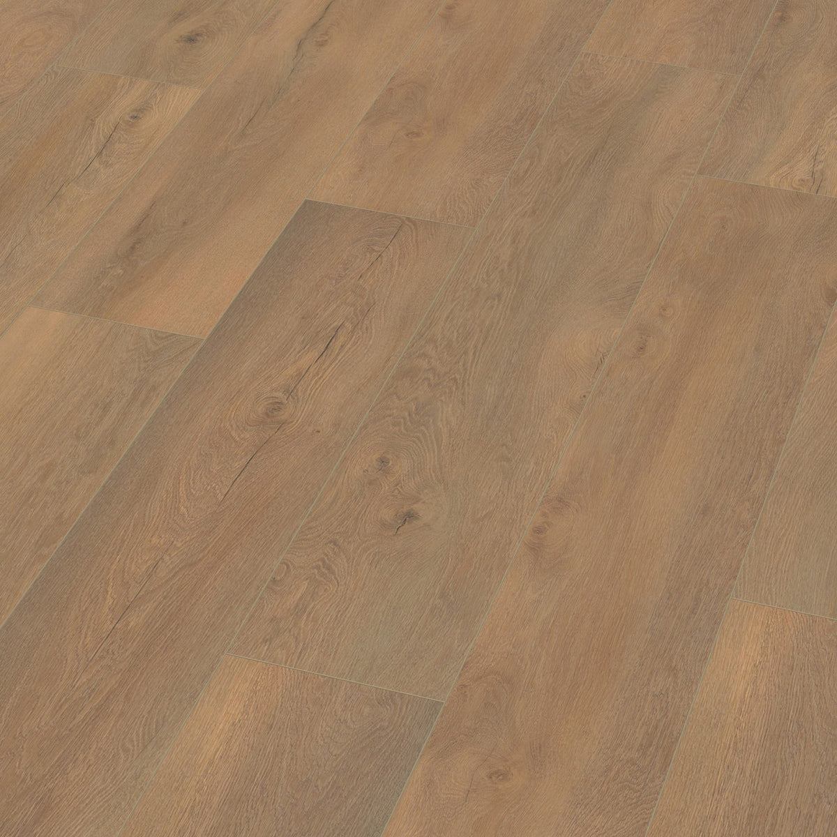 Saarland natuur eiken 3D