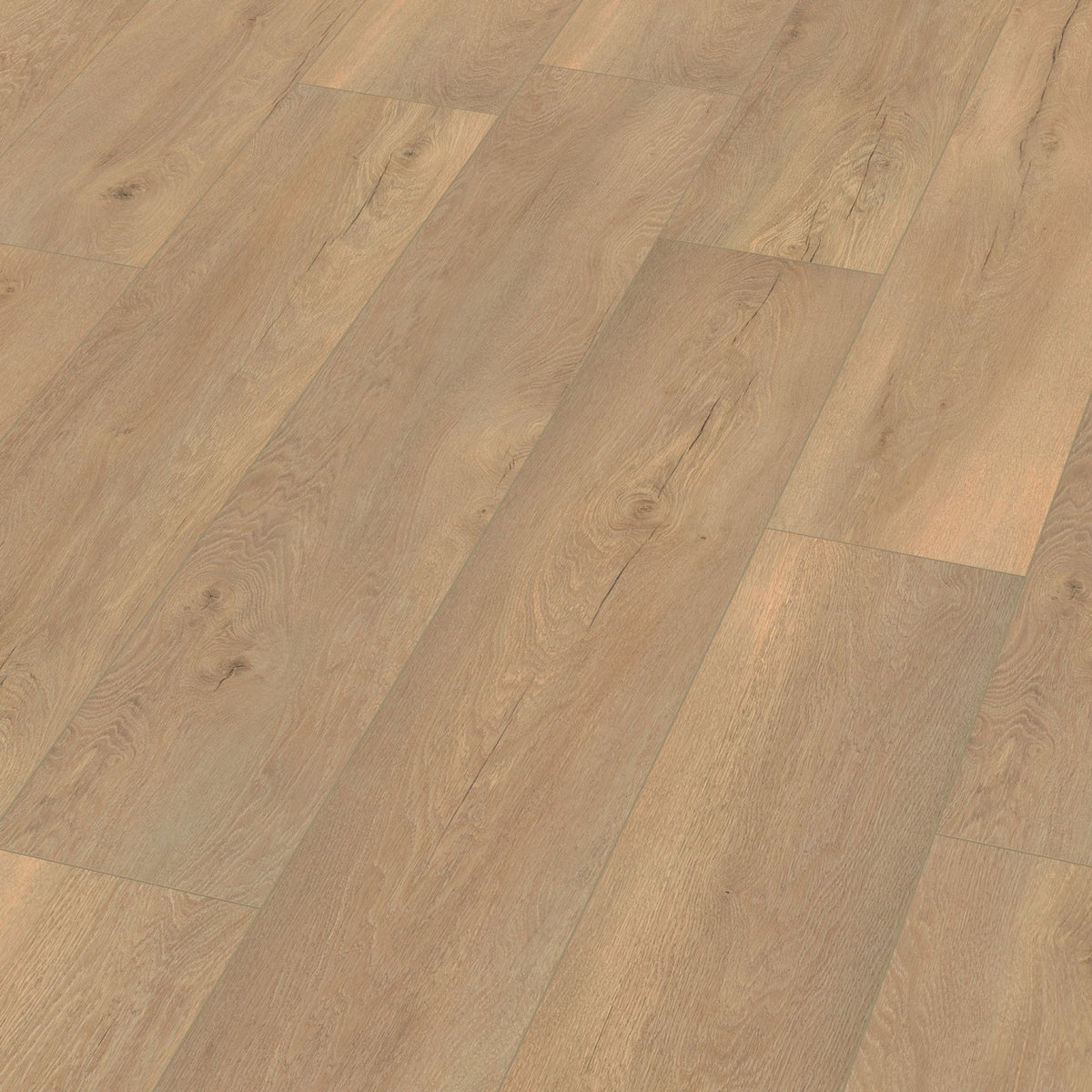 Saarland beige eiken 3D