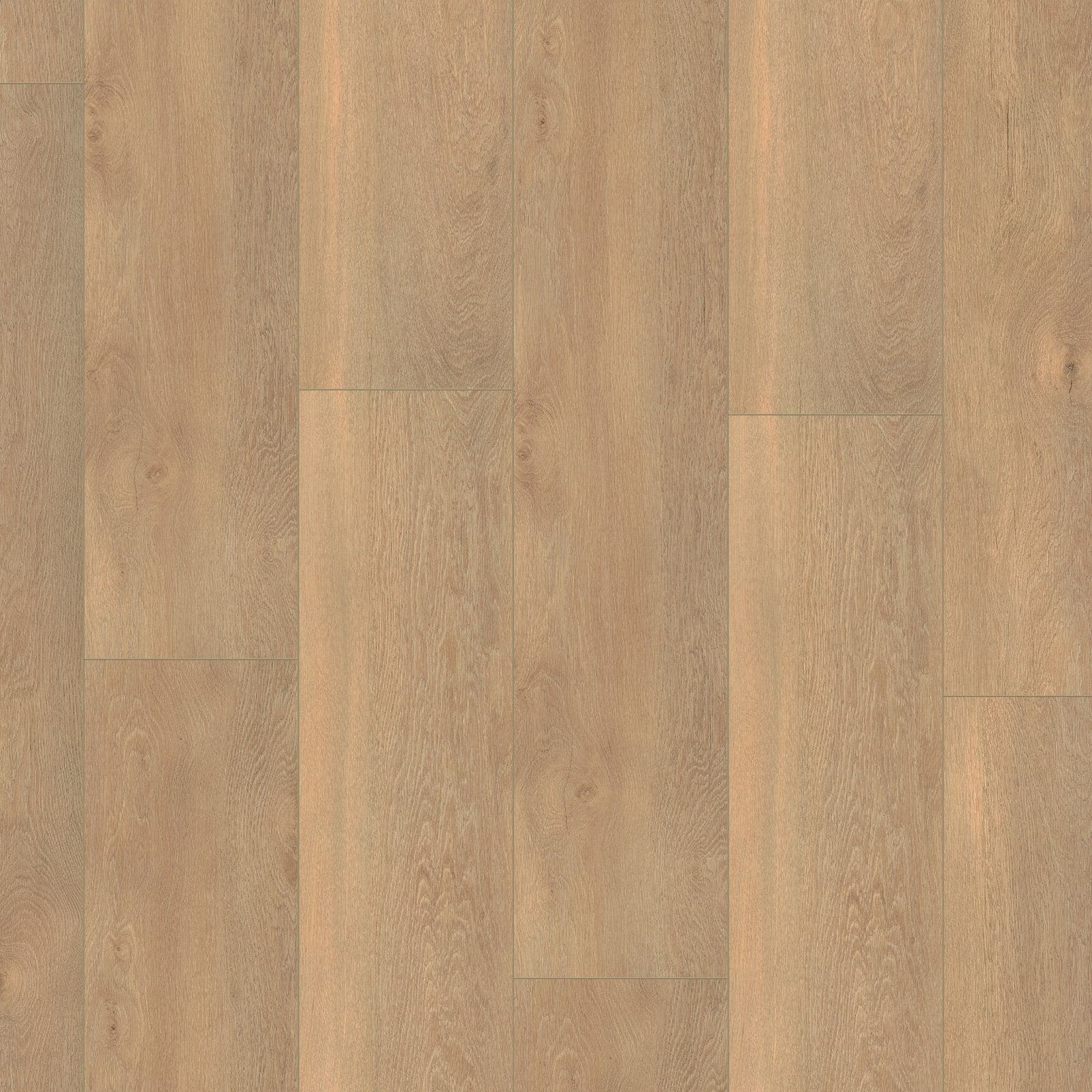Saarland beige eiken