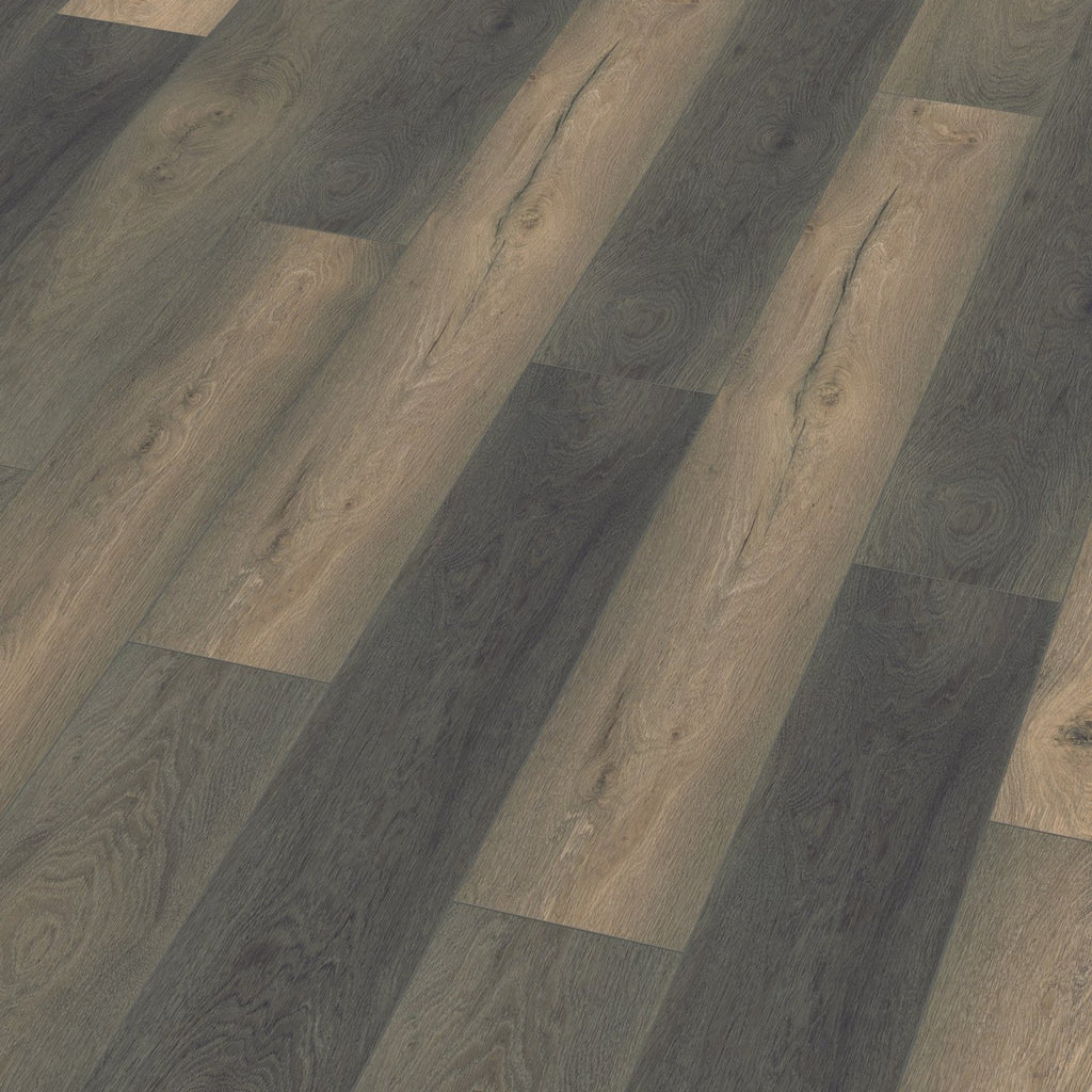 Saksen titan eiken 3D