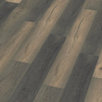 Saksen titan eiken 3D