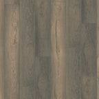 Saksen titan eiken