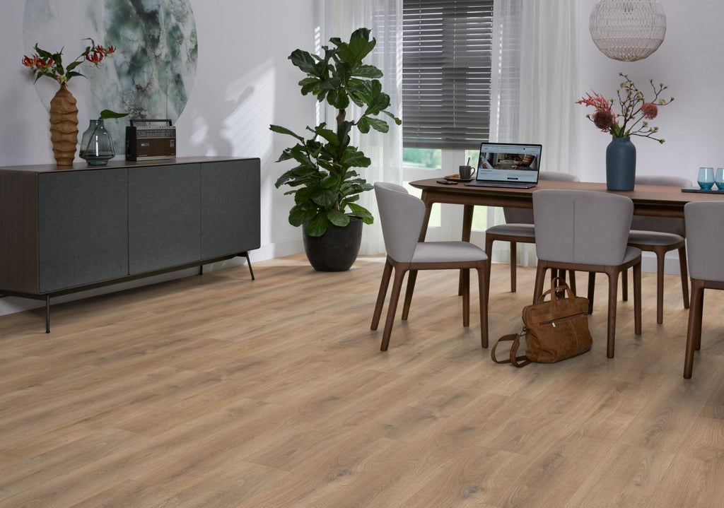 Sunny oak natuur eiken sfeer