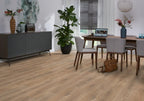 Sunny oak natuur eiken sfeer