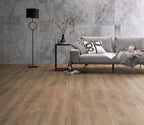 Sunny oak natuur eiken sfeer