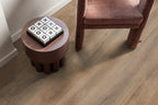 Sunny oak natuur eiken sfeer