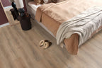 Sunny oak natuur eiken sfeer