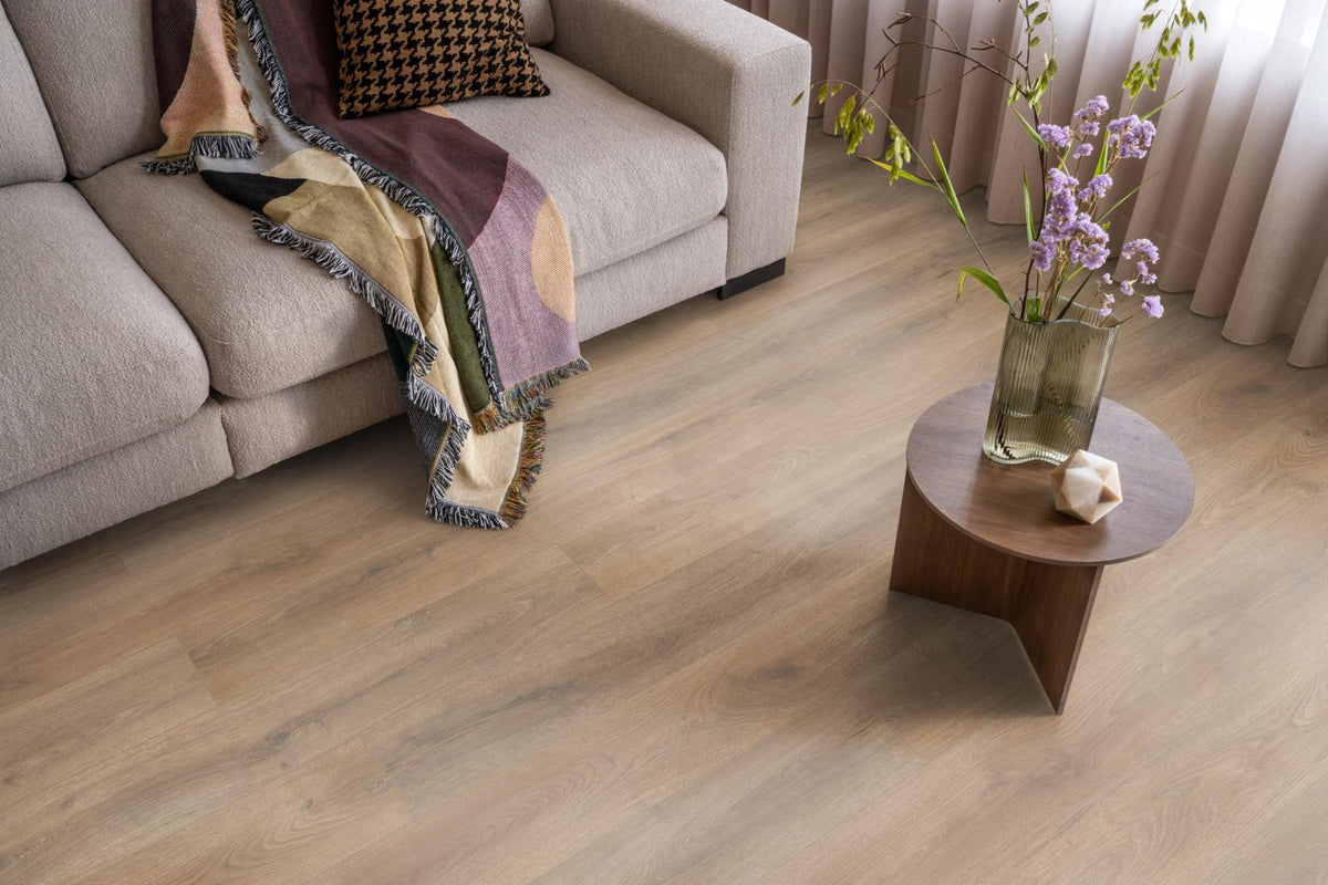 Sunny oak natuur eiken sfeer