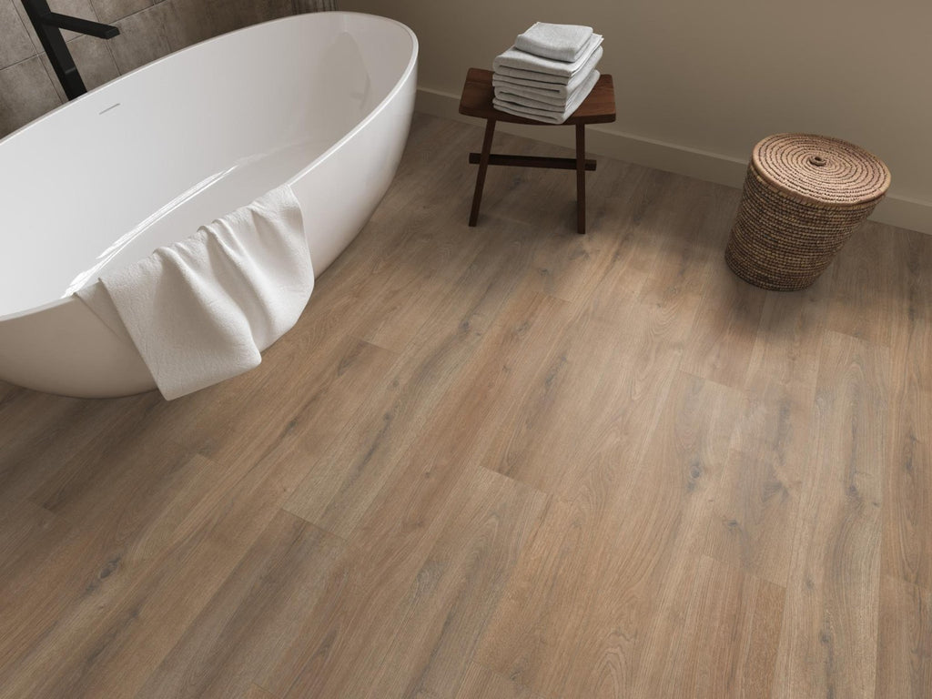 Sunny oak natuur eiken sfeer