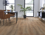 Sunny oak natuur eiken sfeer