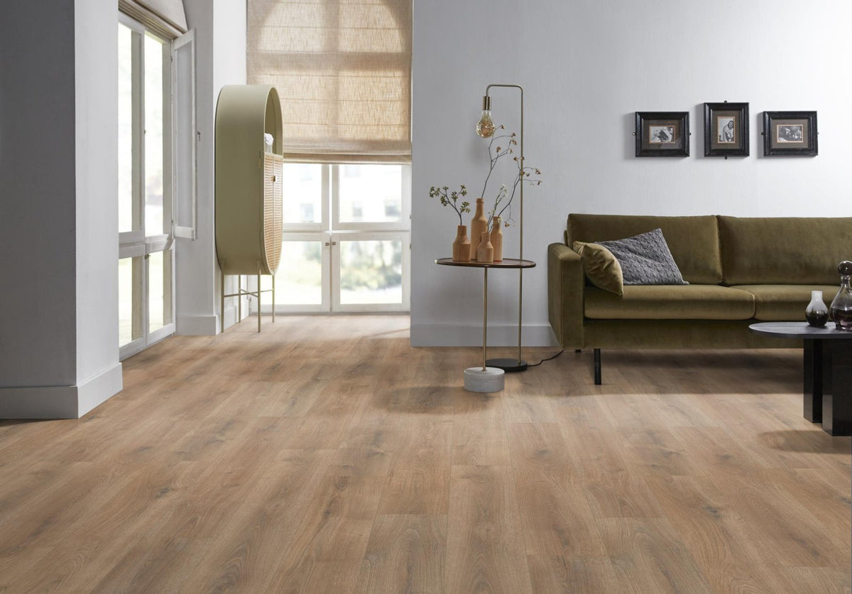 Sunny oak natuur eiken sfeer