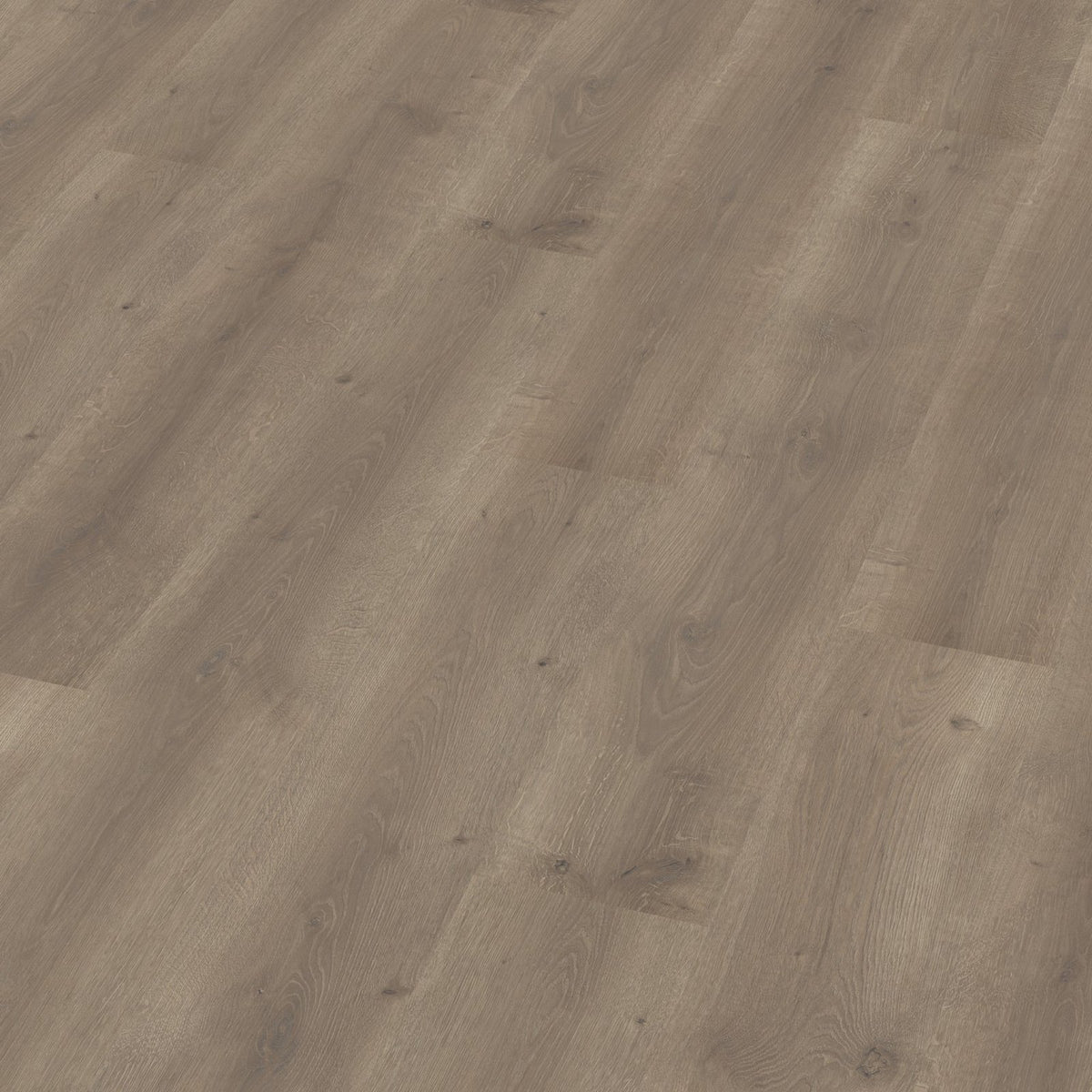 Elite grijs bruin eiken 3D