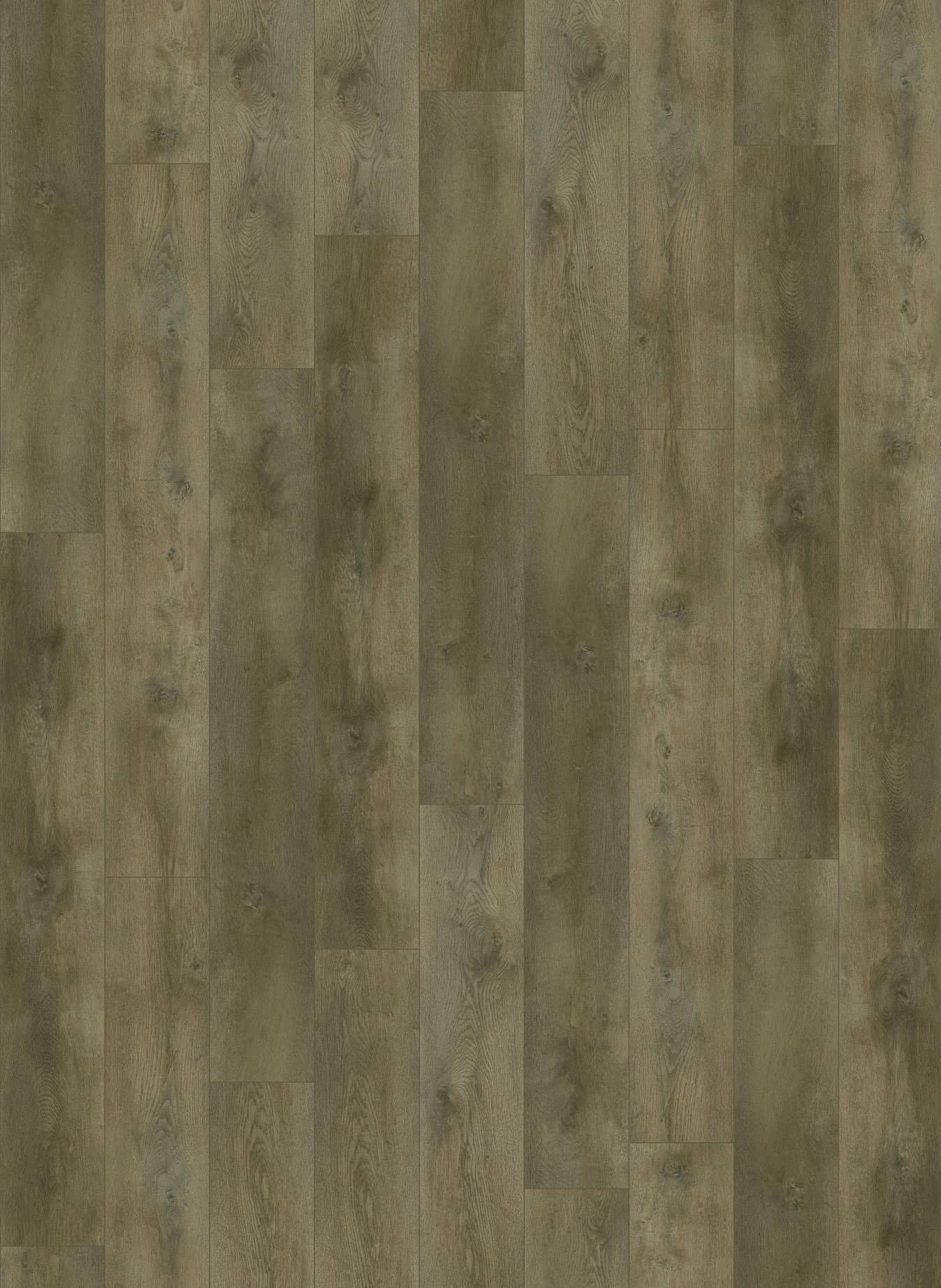 Gelasta Nevada 6000 (dryback)