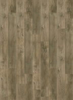 Gelasta Nevada 6001 (dryback)