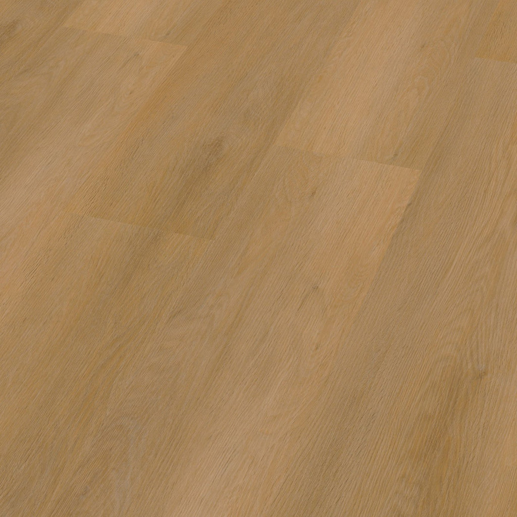 Sentima dryback dark oak 3D
