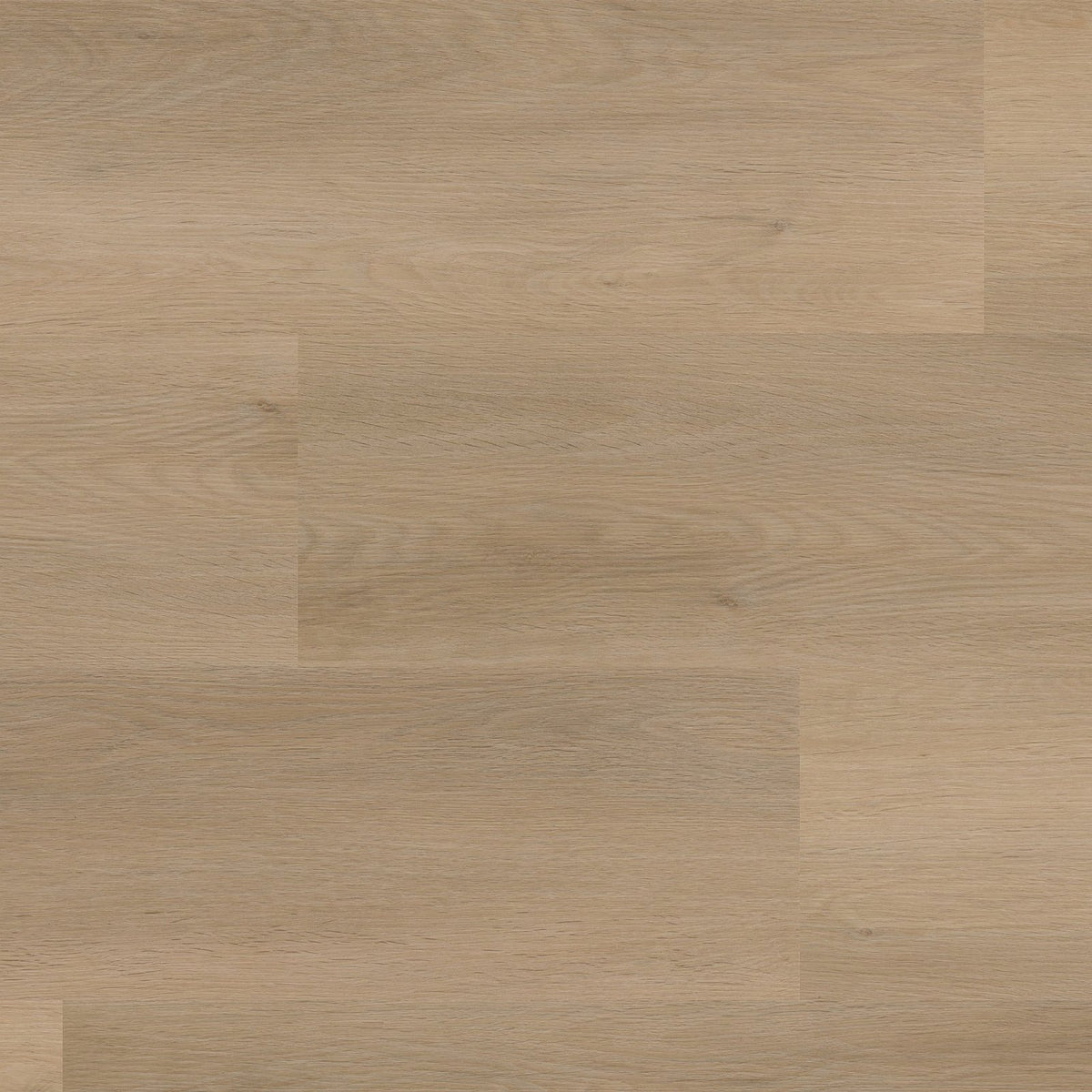 Sentima dryback beige