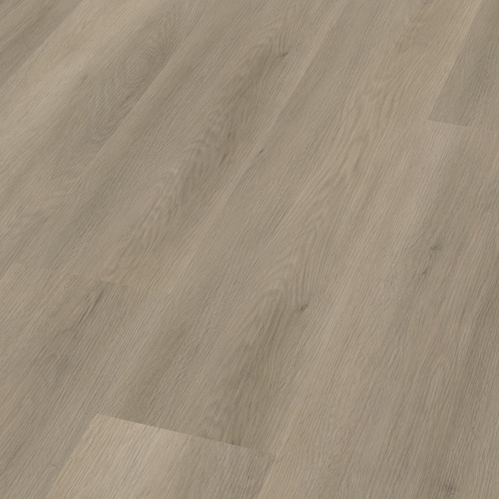 Sentima dryback smoky 3D