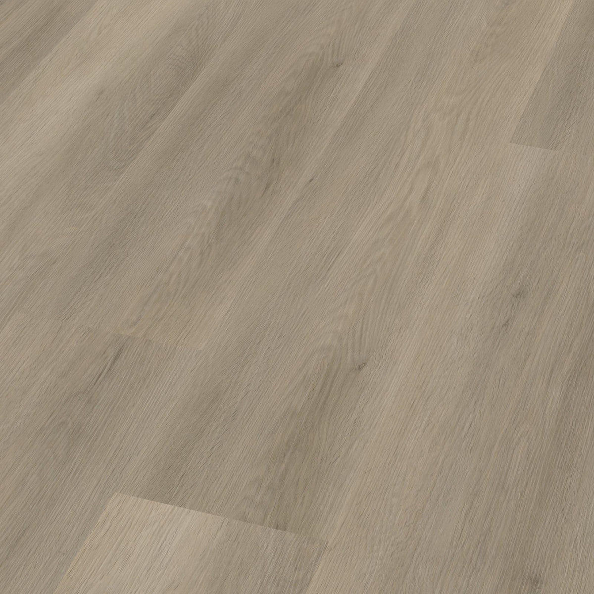 Sentima dryback smoky 3D