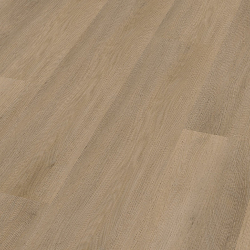 Sentima dryback natural oak 3D