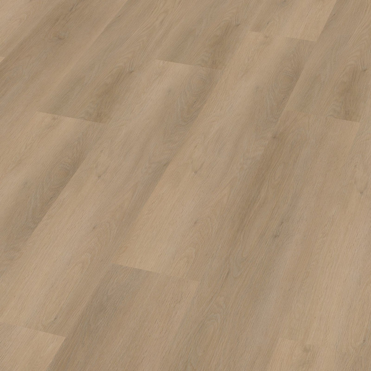 Sentima click beige 3D