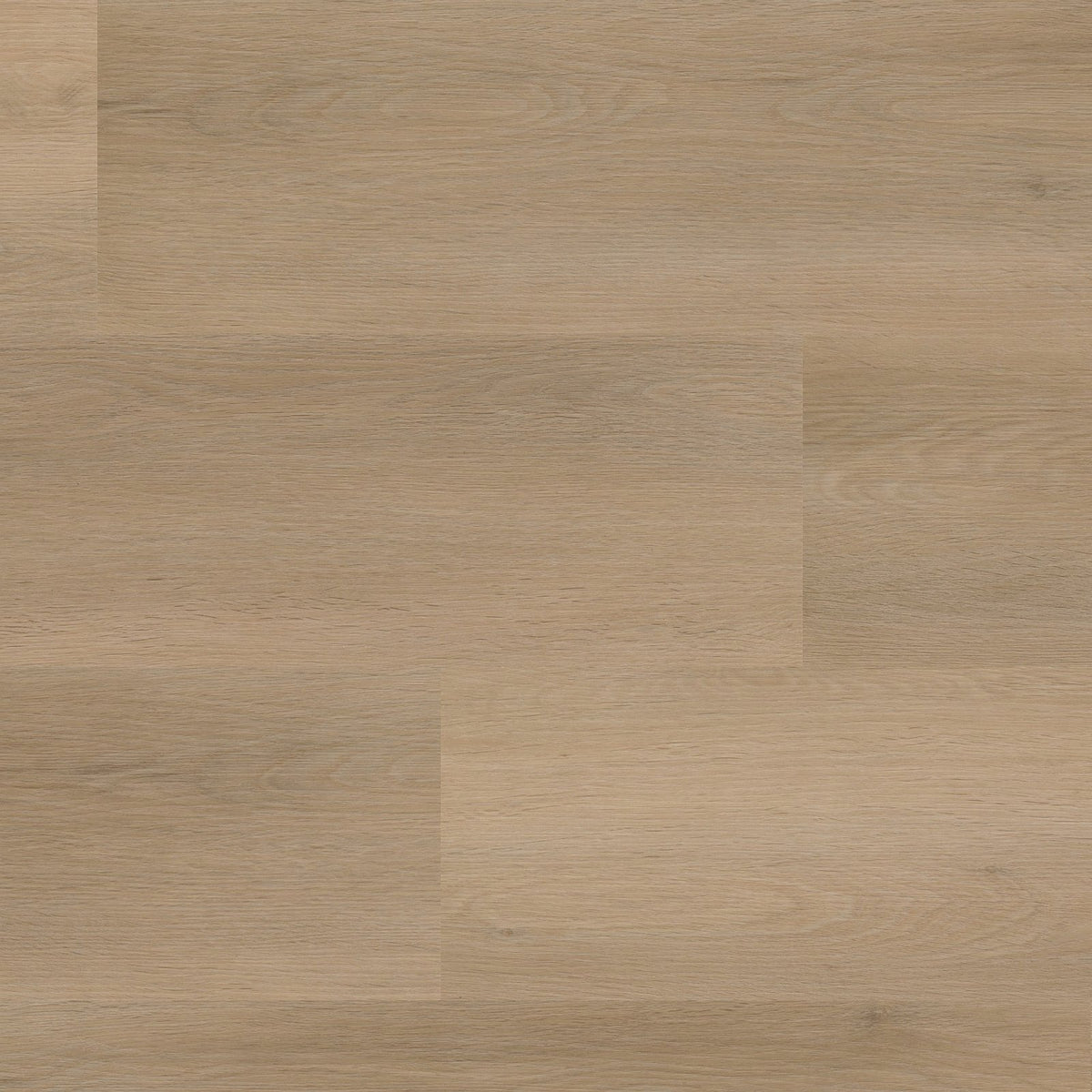 Sentima click beige