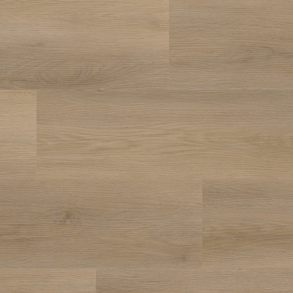 Sentima click natural oak