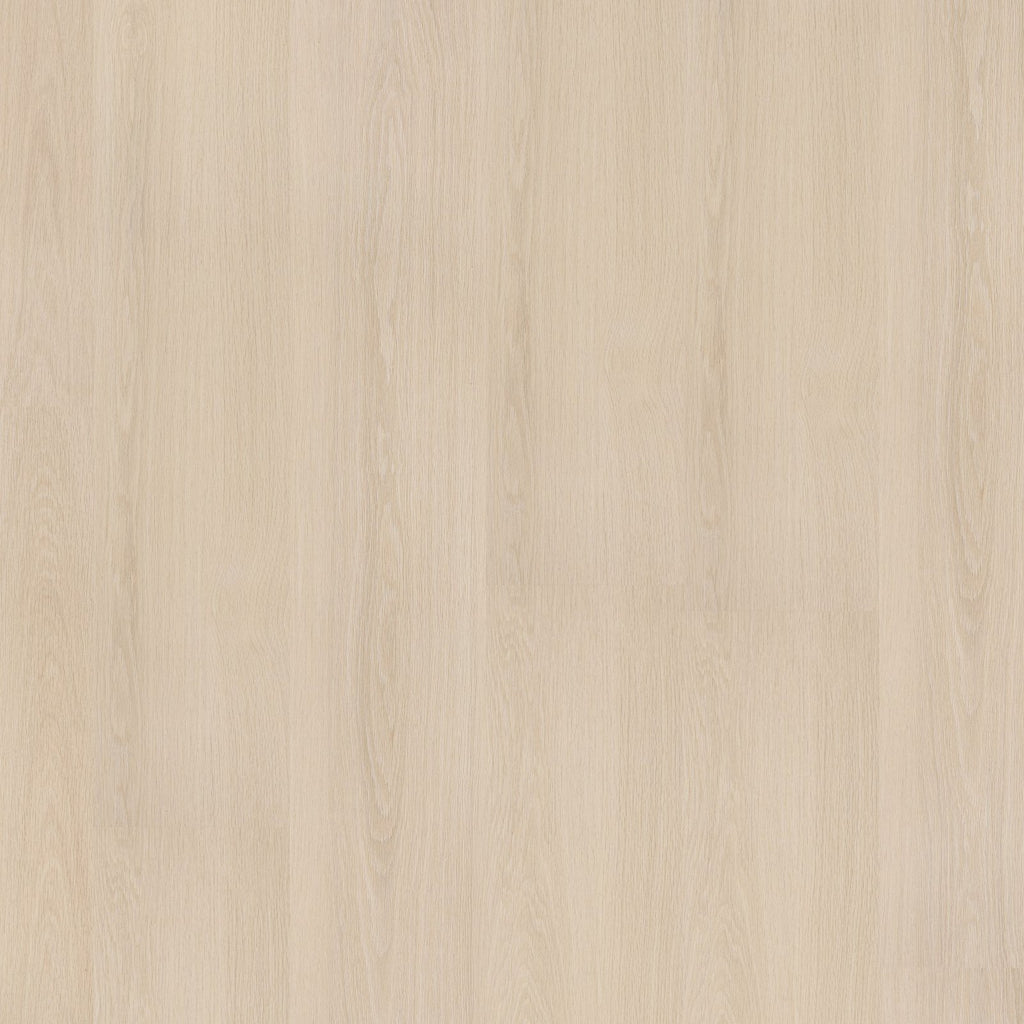 Soleno dryback beige