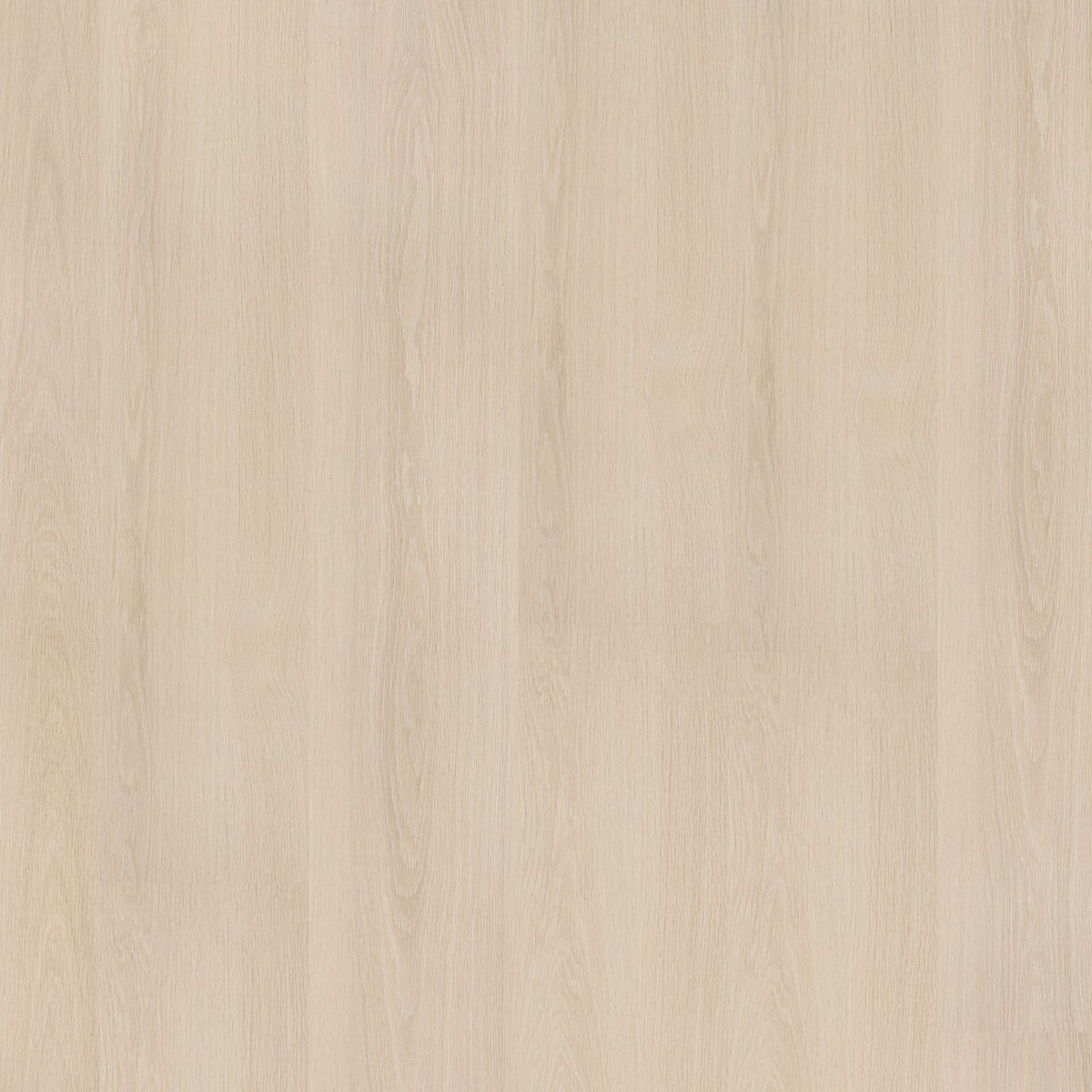 Soleno dryback beige