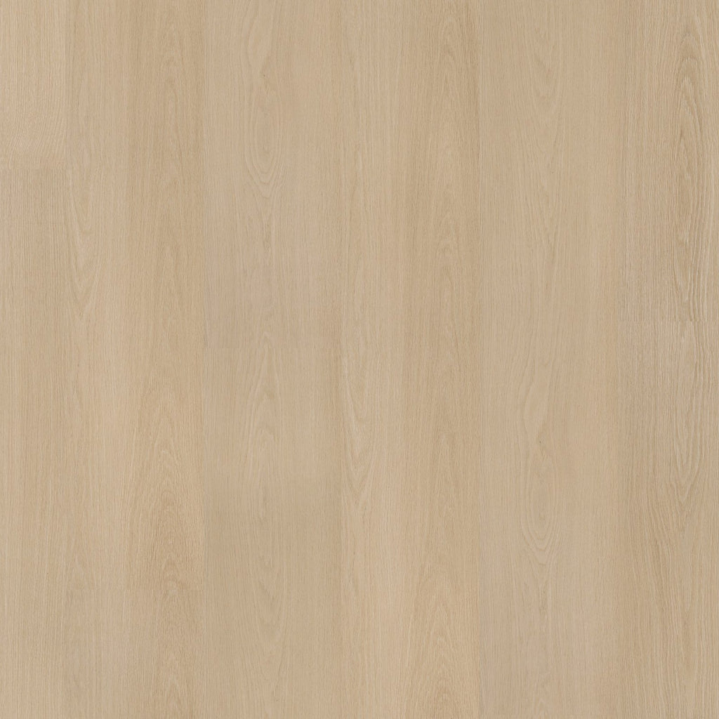 Soleno dryback natural