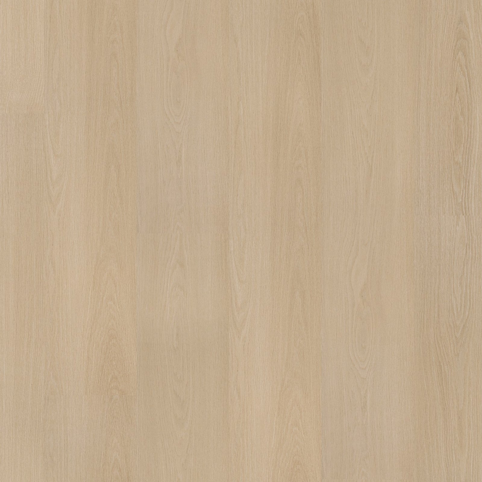 Soleno dryback natural