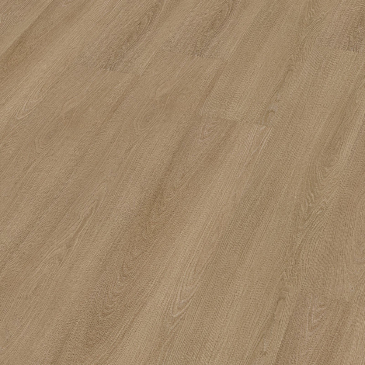 Soleno dryback warm oak 3D
