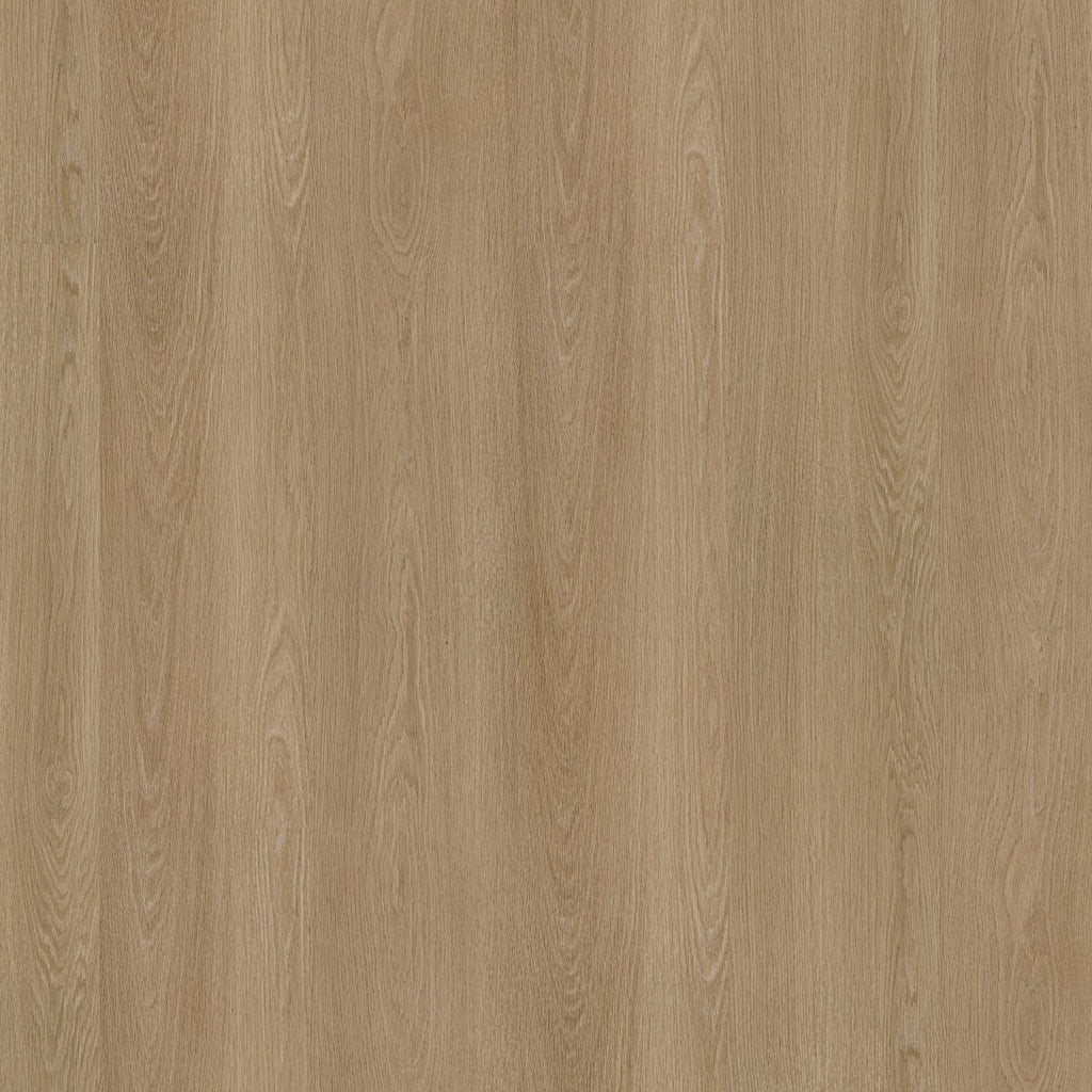 Soleno dryback warm oak