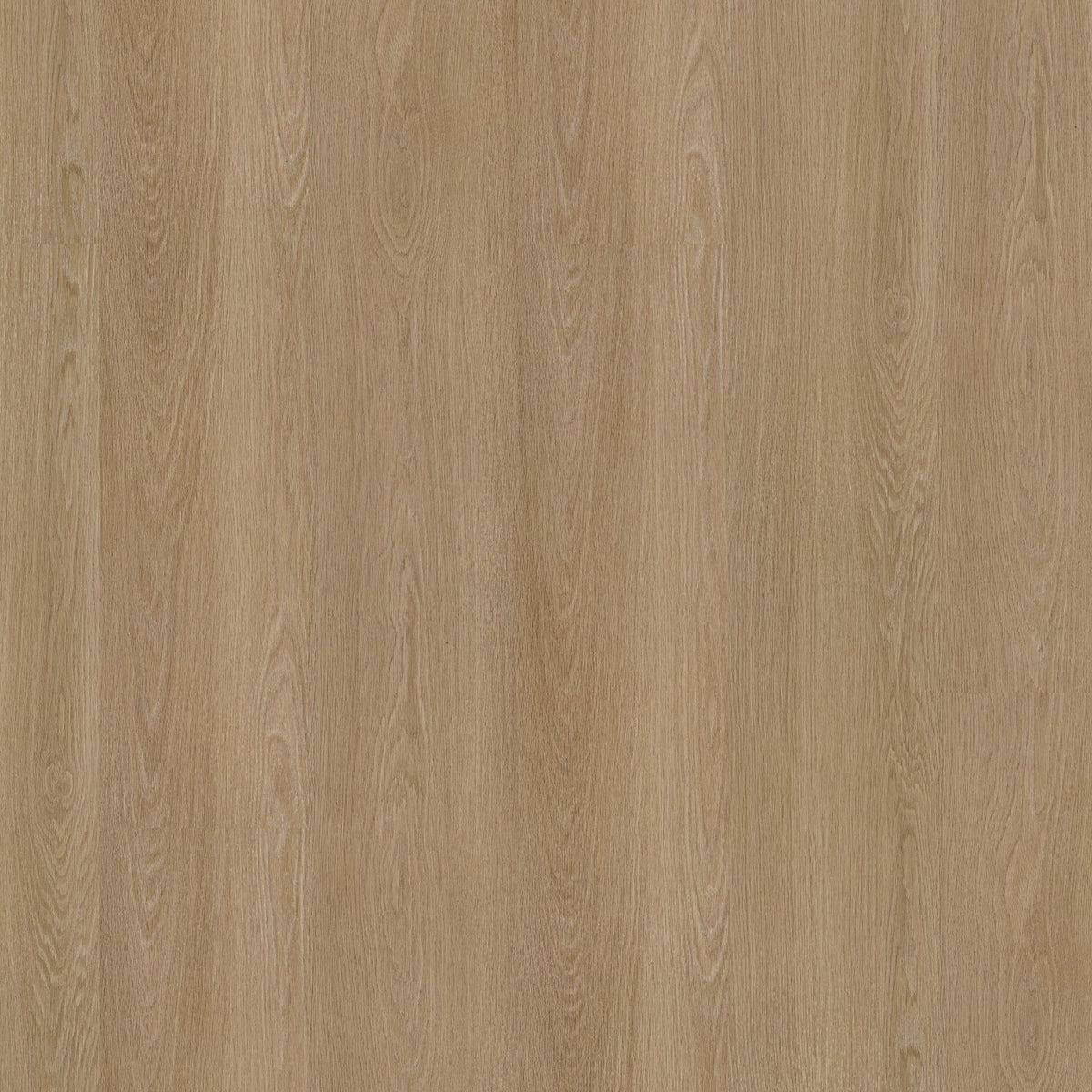 Soleno dryback warm oak