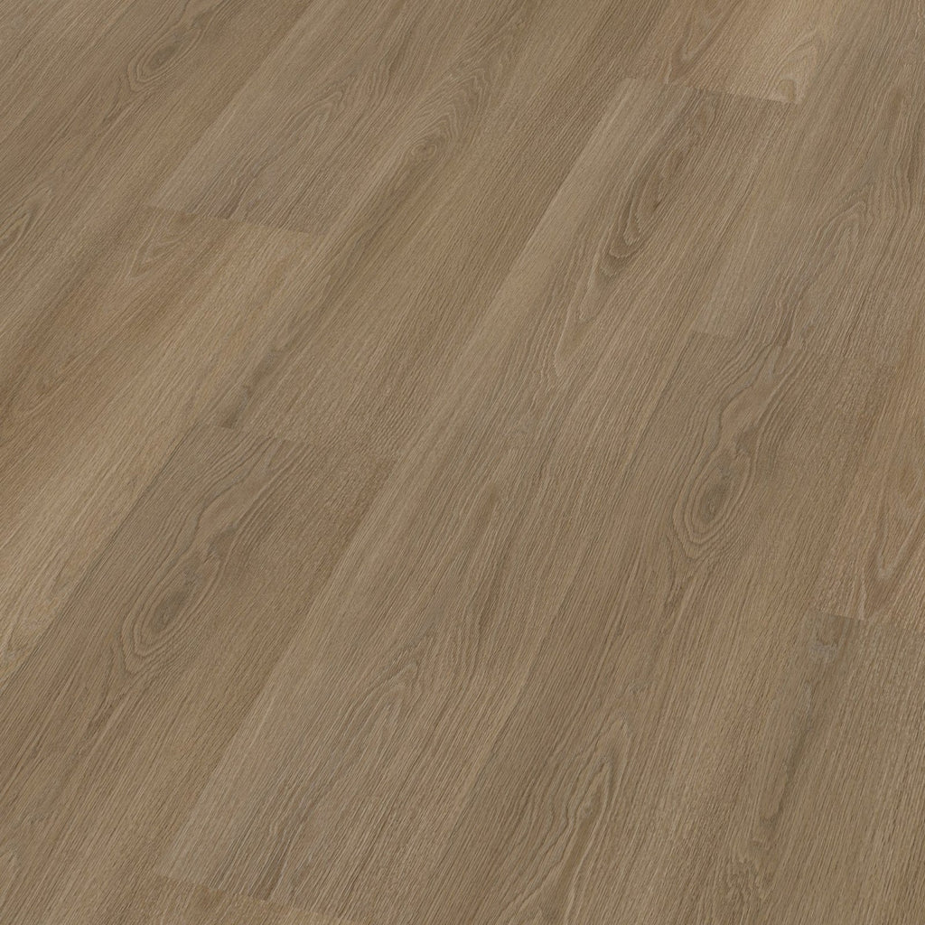 Soleno dryback dark oak 3D