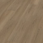 Soleno dryback dark oak 3D