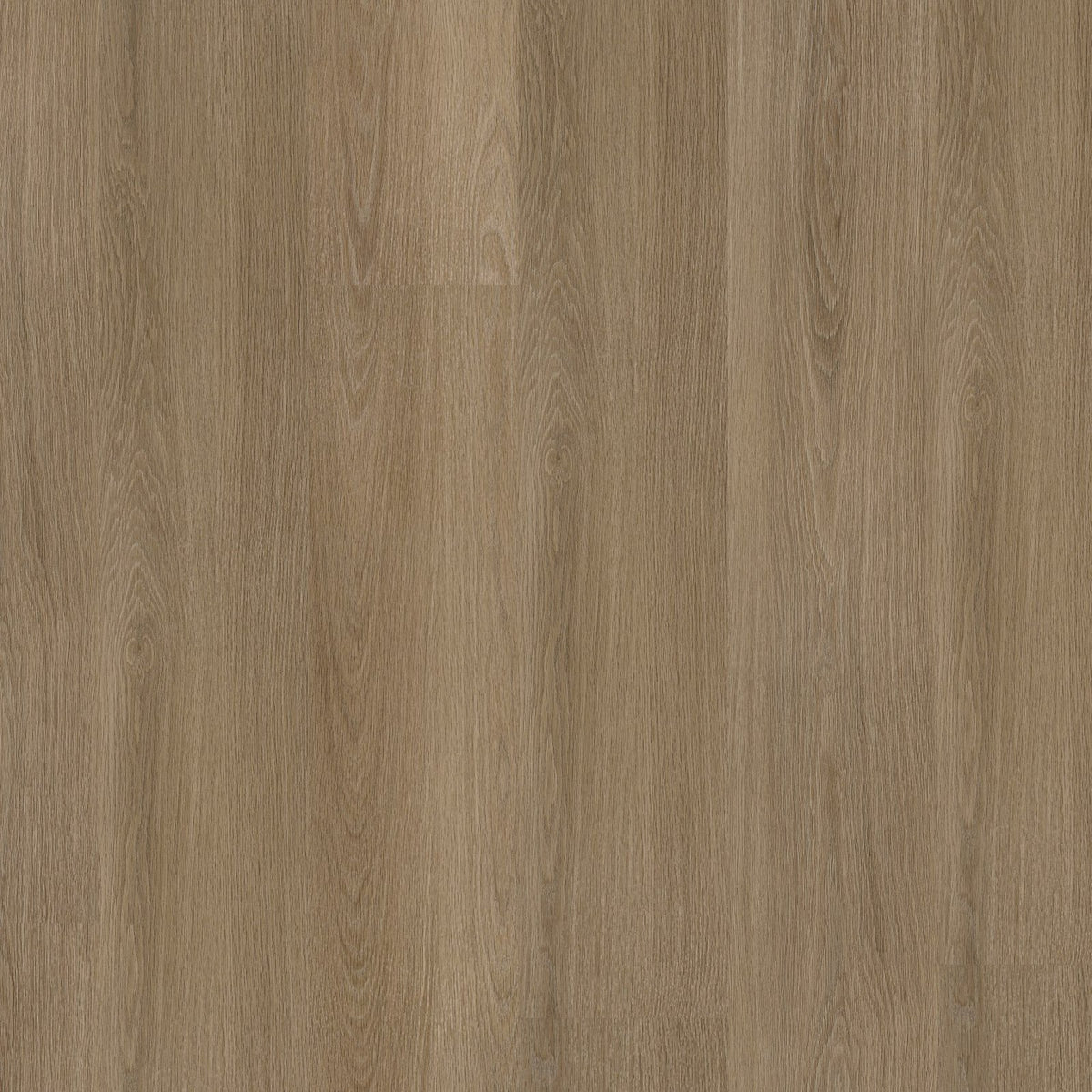 Soleno dryback dark oak