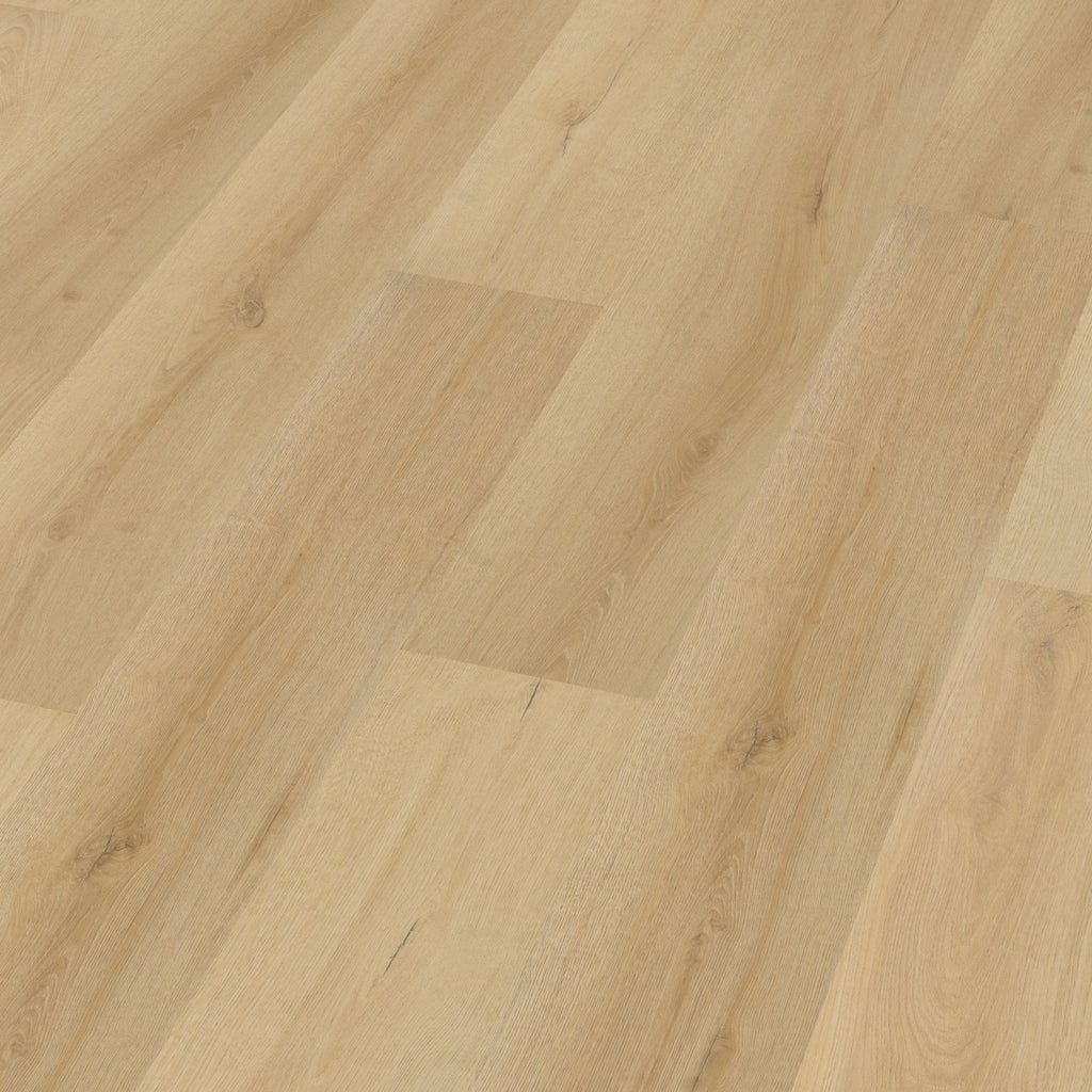 Valento dryback natural 3D
