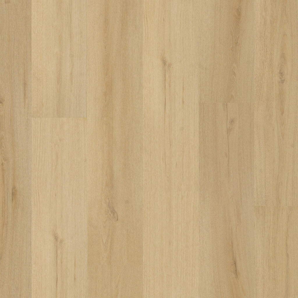 Valento dryback natural