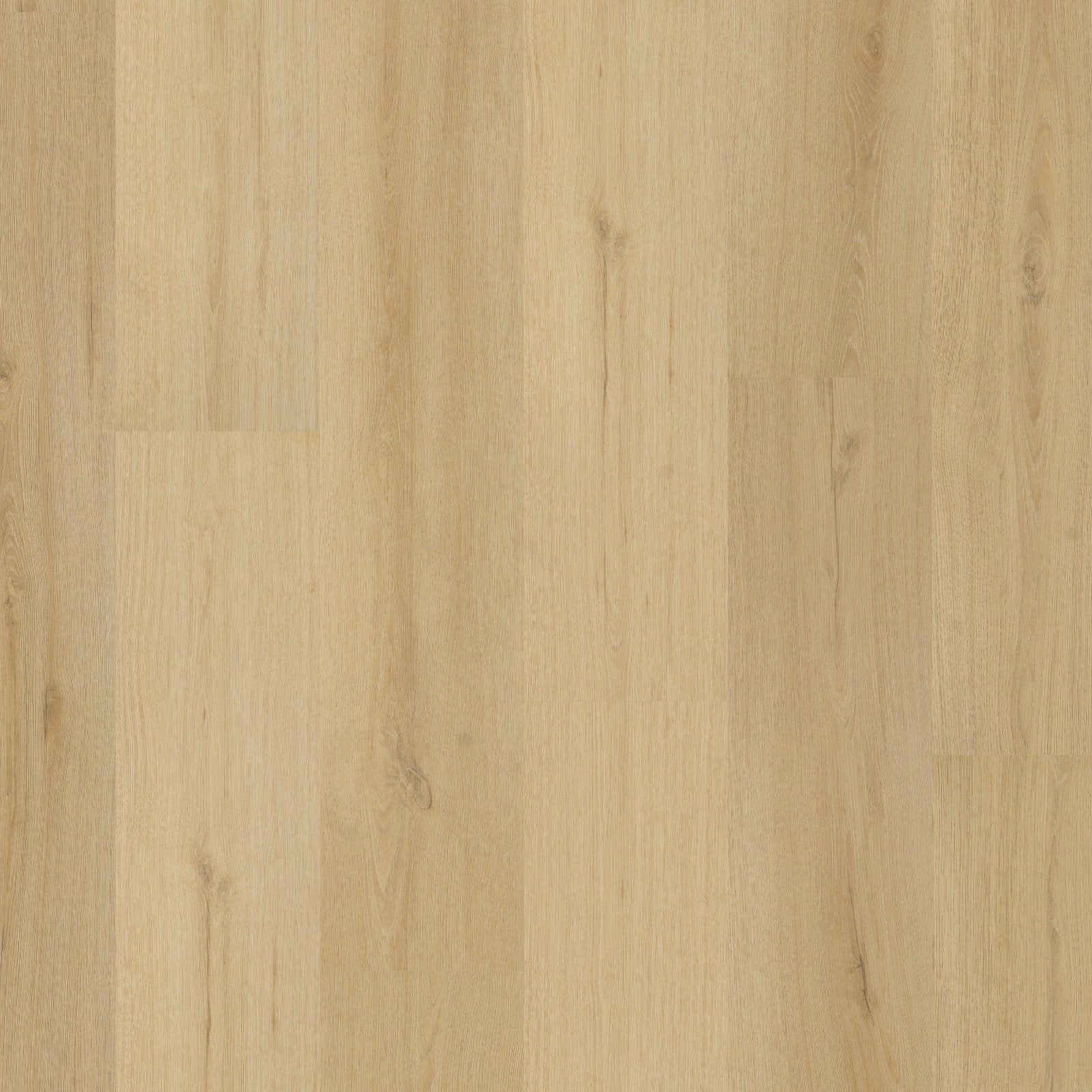 Valento dryback natural