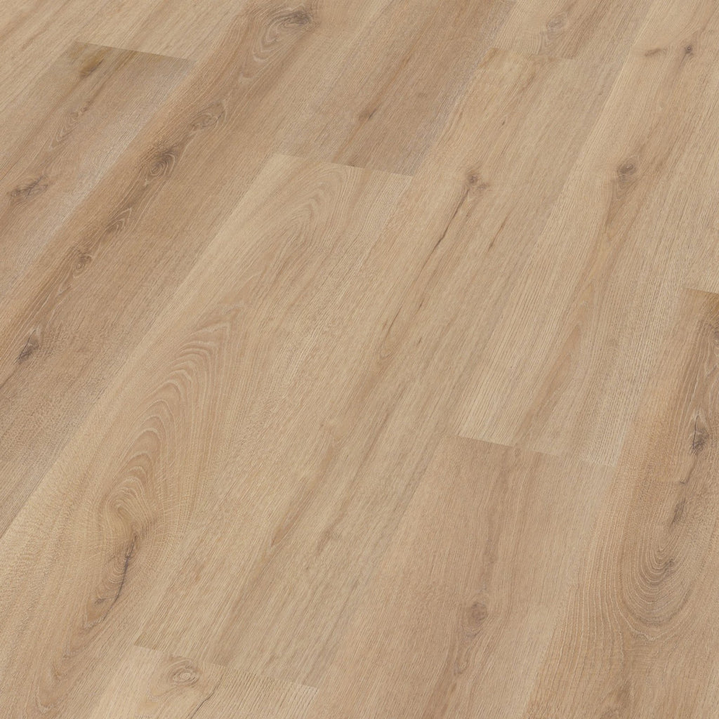 Valento dryback light brown 3D