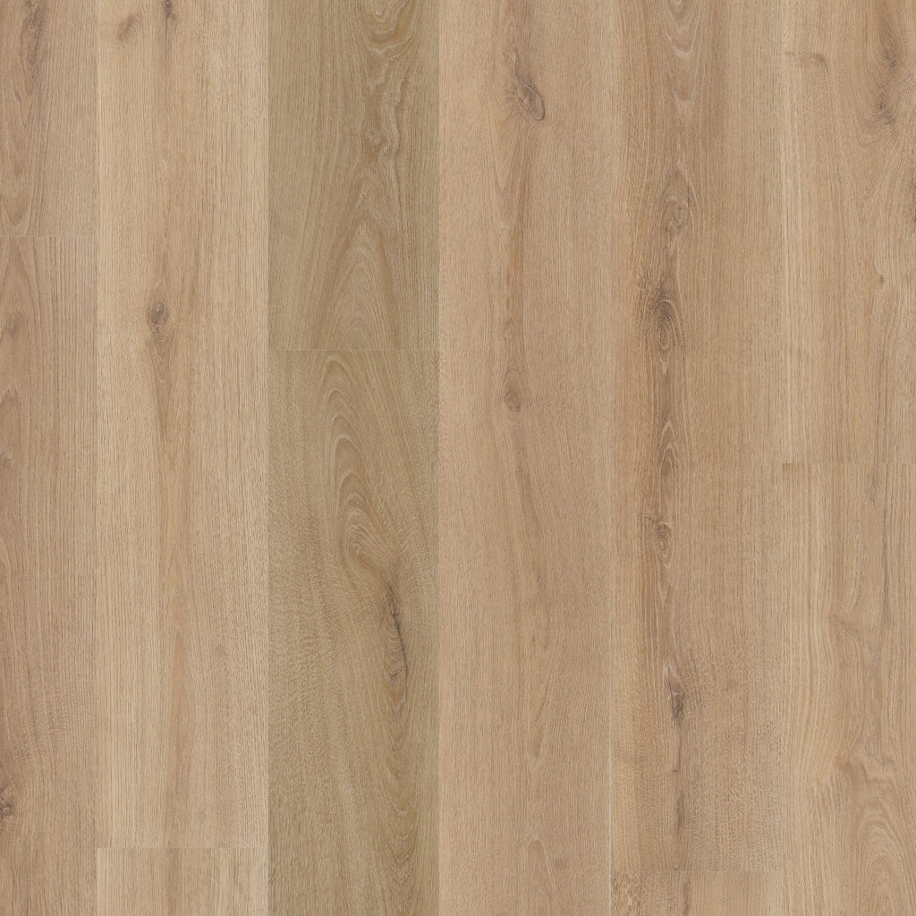 Valento dryback light brown