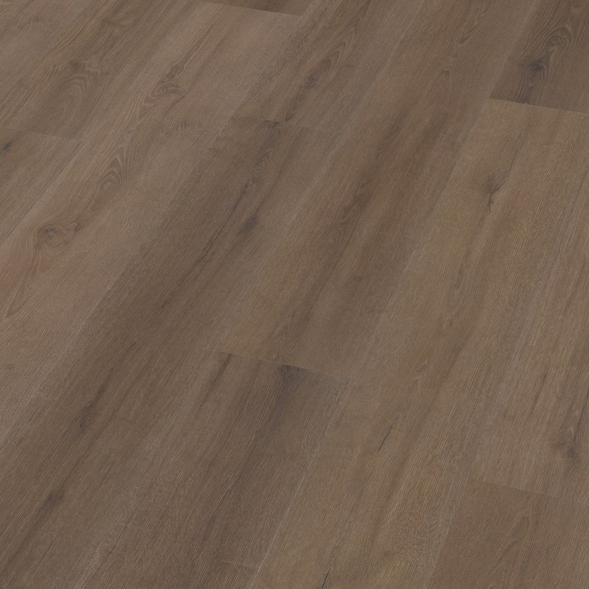 Valento dryback brown 3D