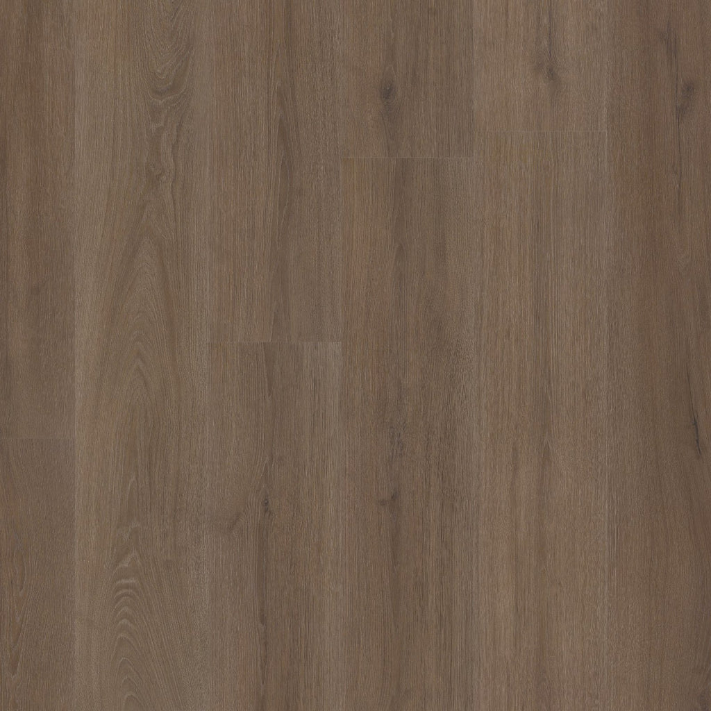 Valento dryback brown