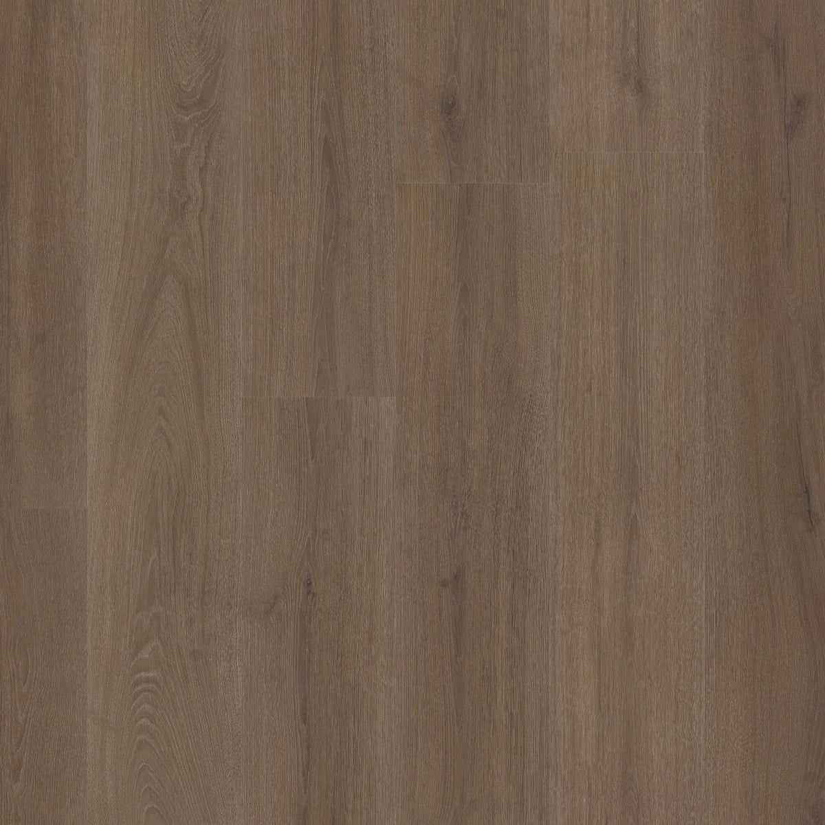 Valento dryback brown