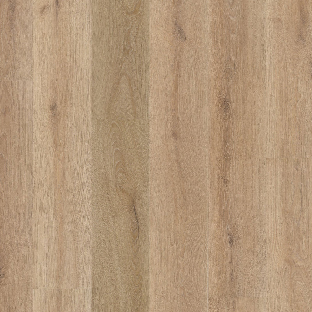 Valento click SRC light brown