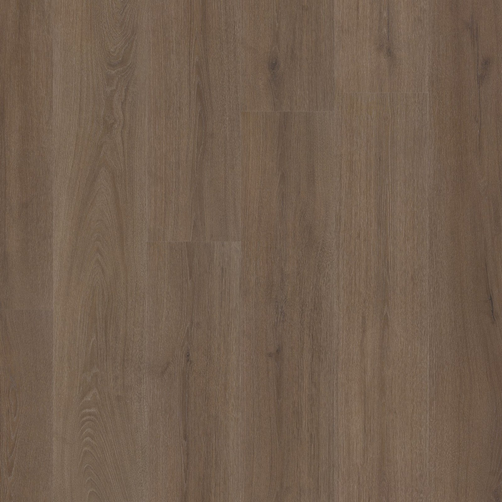 Valento click SRC brown