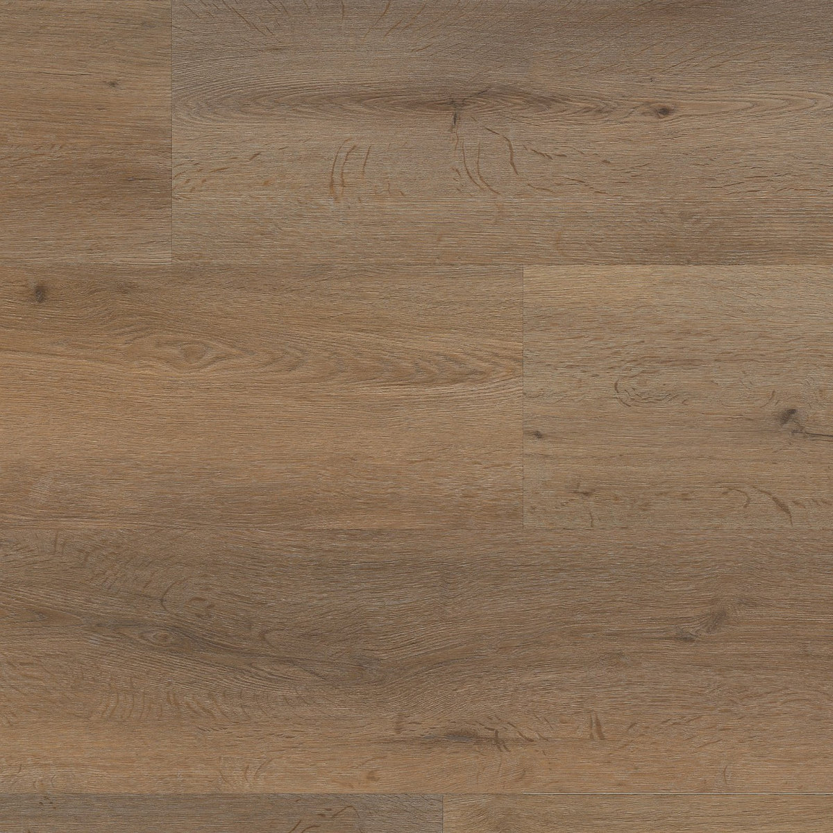 Vivero dryback smoky