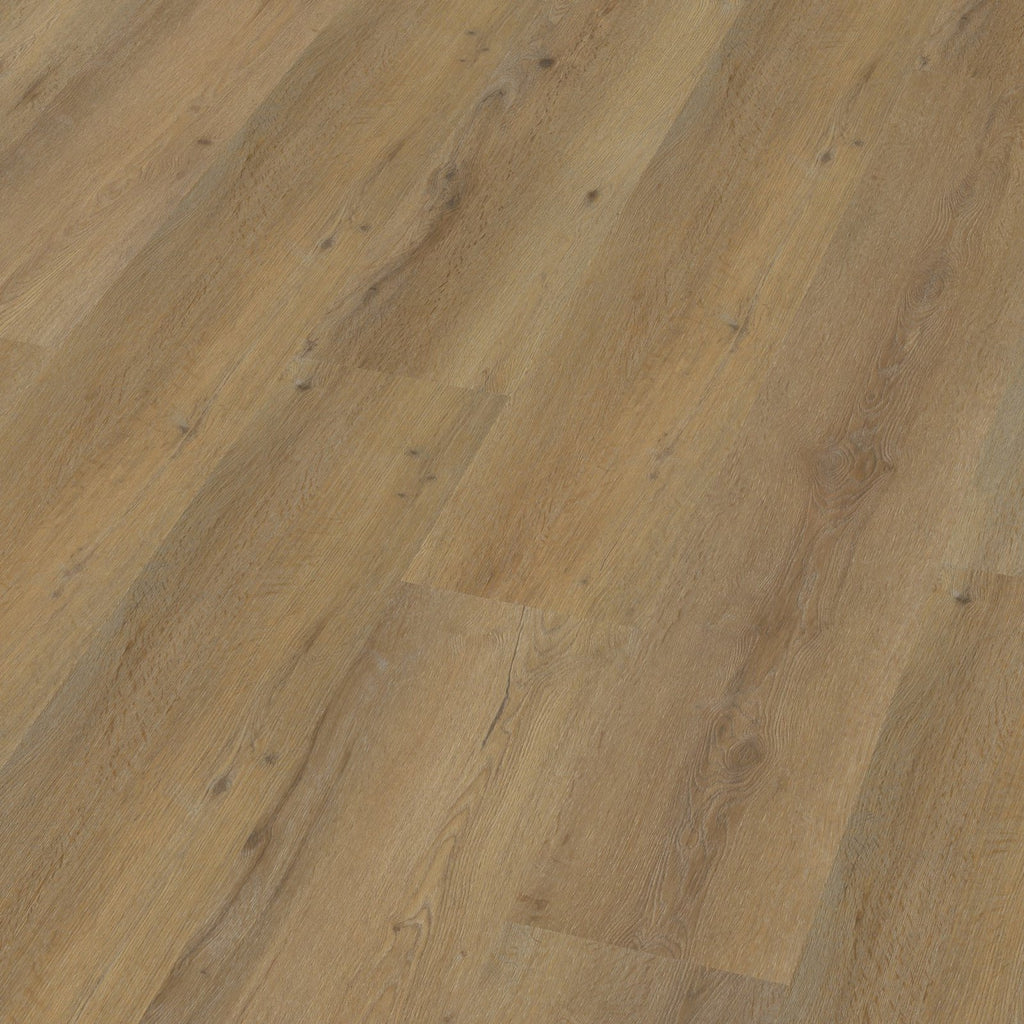 Vivero dryback dark oak 3D
